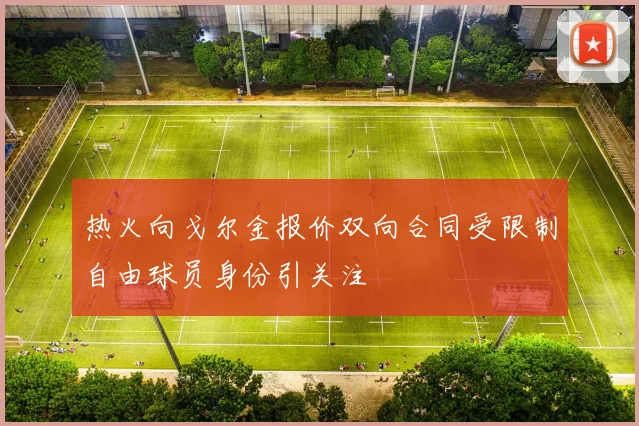 热火向戈尔金报价双向合同受限制自由球员身份引关注