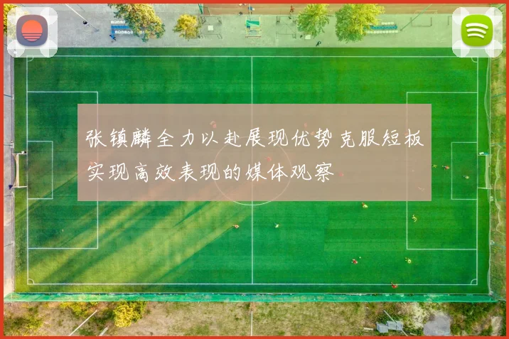 张镇麟全力以赴展现优势克服短板实现高效表现的媒体观察